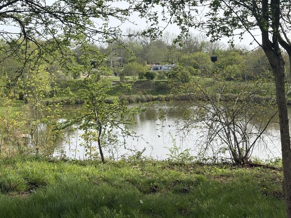 Arden Lakes Camping