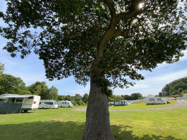 Argoed Meadow Camping and Caravan Park