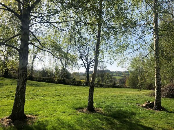 Ash Meadow (Certificated Location)