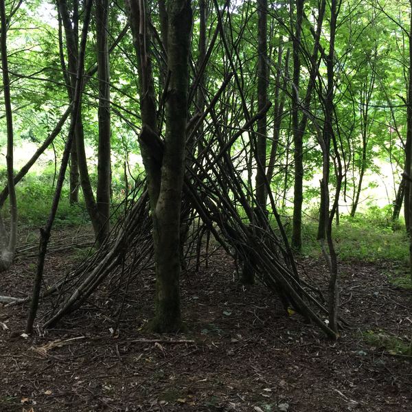 Ashbourne Woods