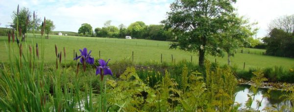 Ashdon Farm Certificated Location