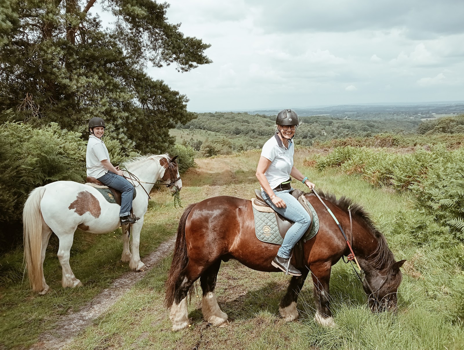Ashdown Forest Riding Centre
