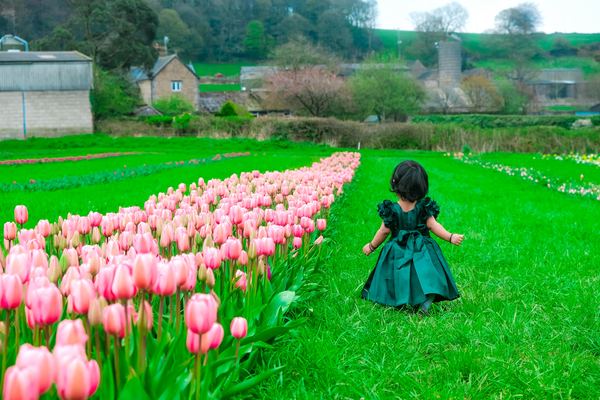 Ashover Family Farm