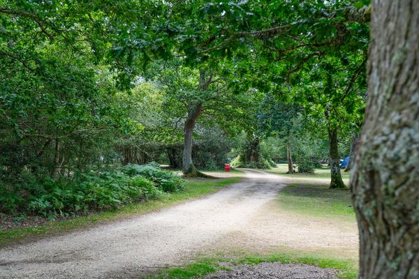 Ashurst Caravan and Camping Site