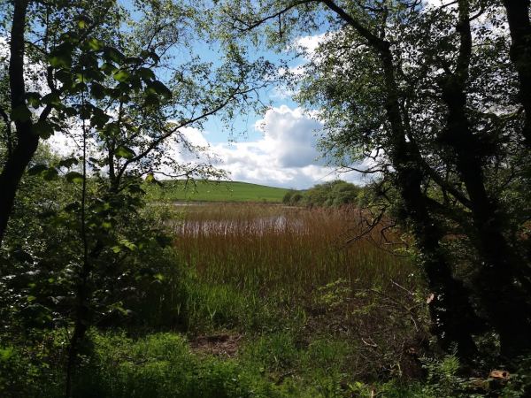 Auchenfranco Camping & Caravan Site