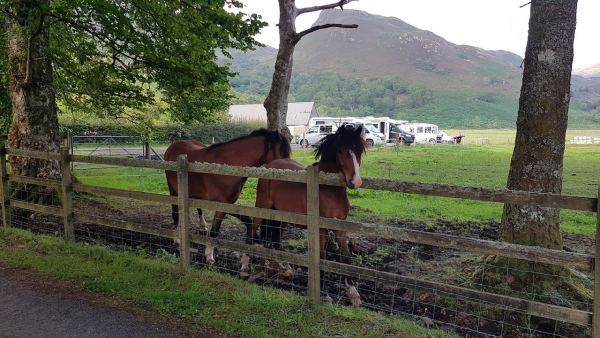 Auchtertyre Farm
