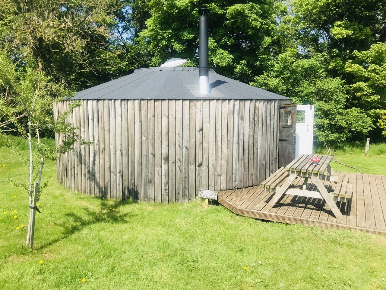 Baby Moon Camp