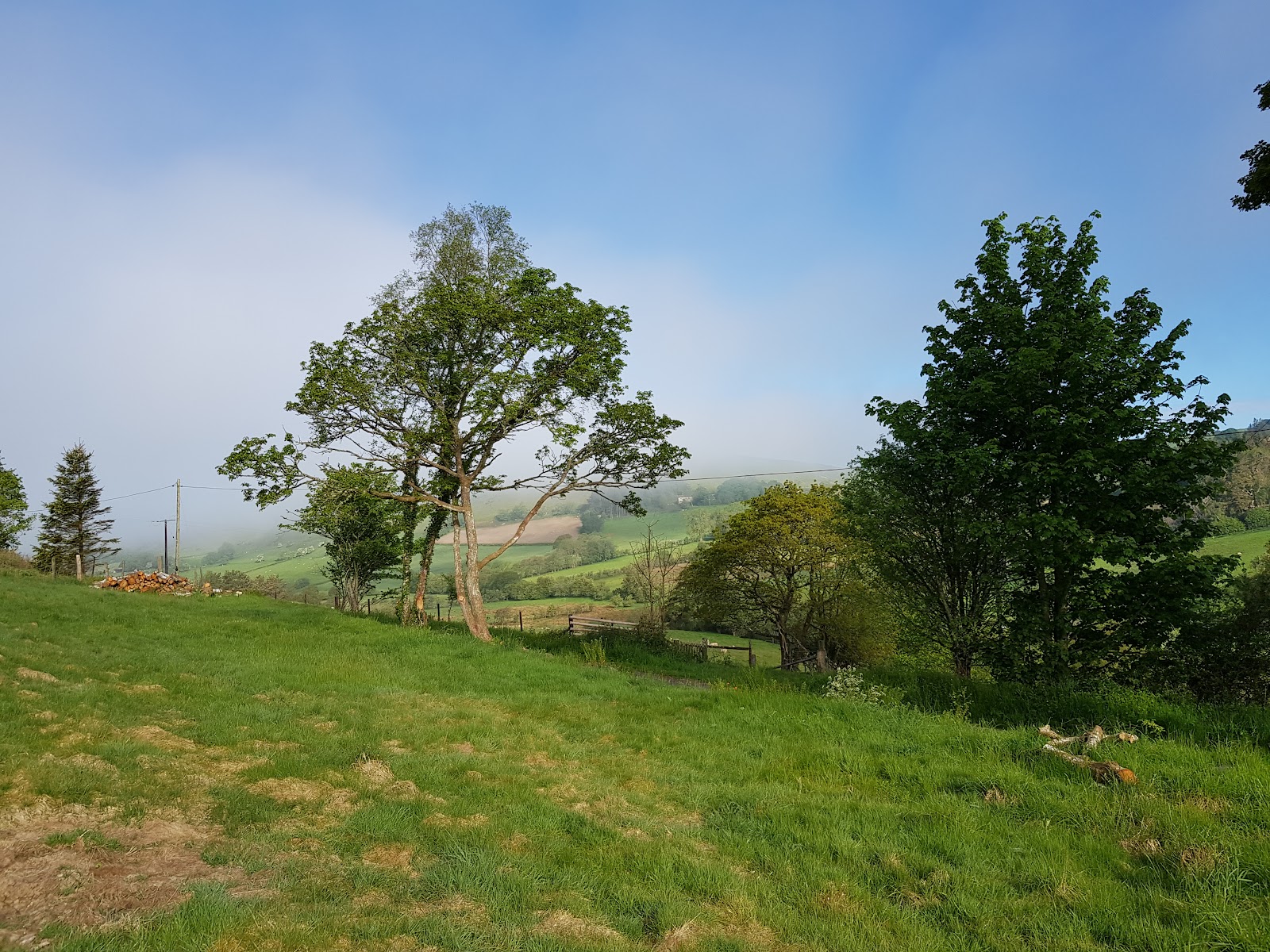 Babylon Wild Campsite