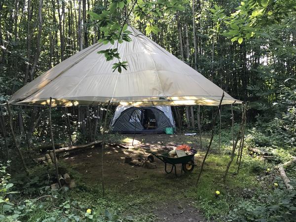 Badgells Wood Camping