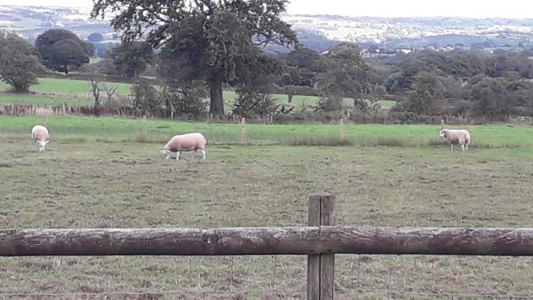 Baileys Barn Certificated Site