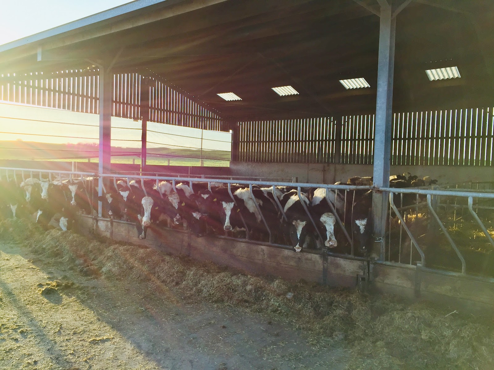 Balnab Farm
