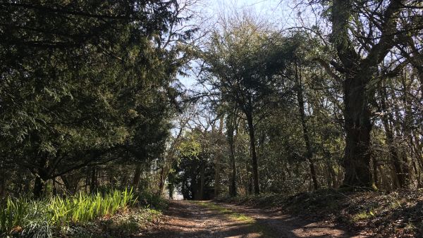 Baltic Wharf Caravan and Motorhome Club Site