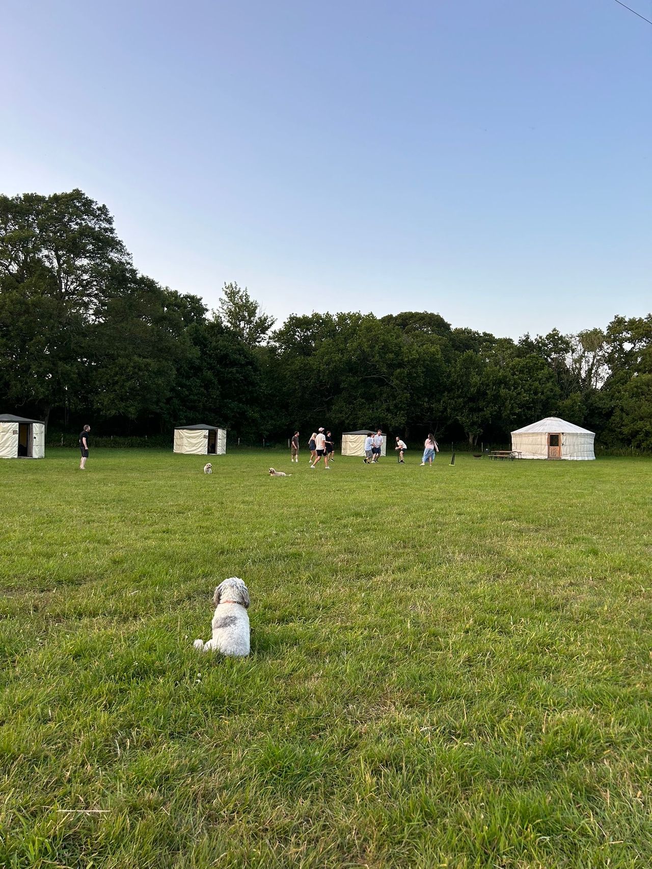 Barcombe Yurts