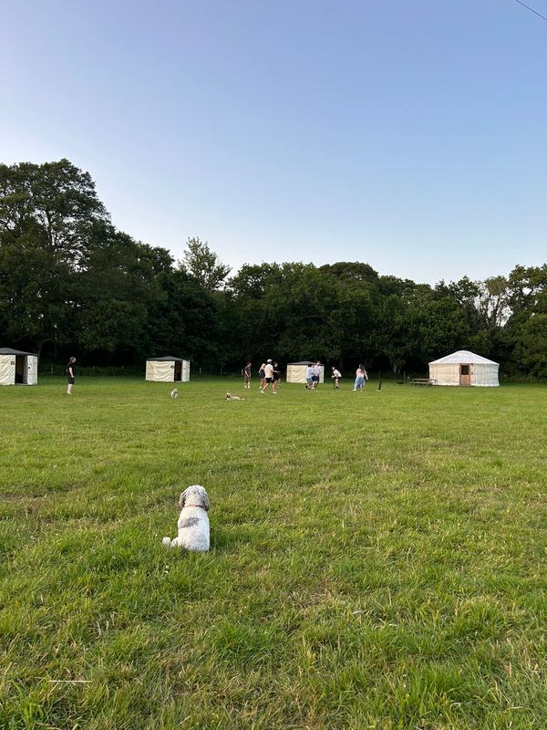 Barcombe Yurts