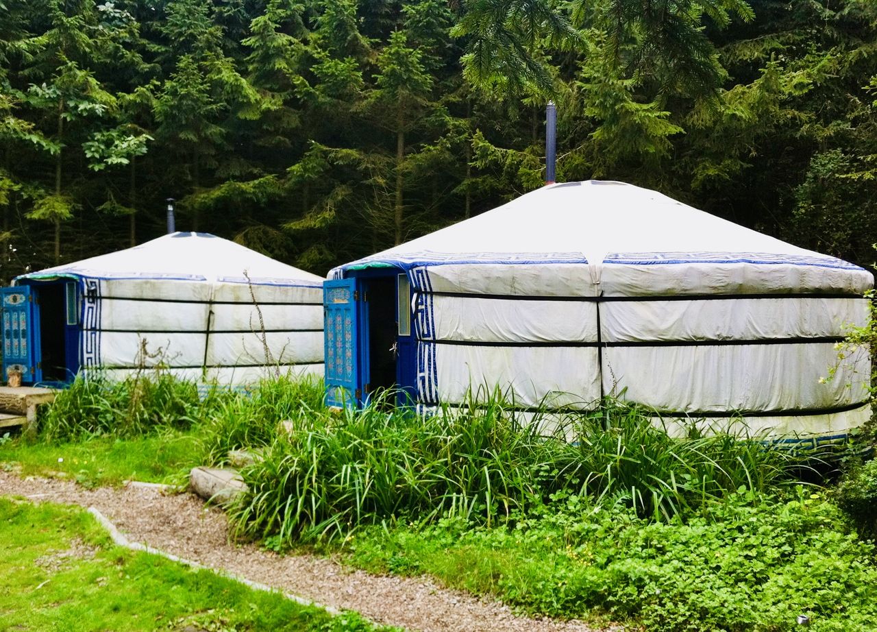 Barefoot Yurts