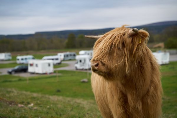 Barrow Campsite Nairn
