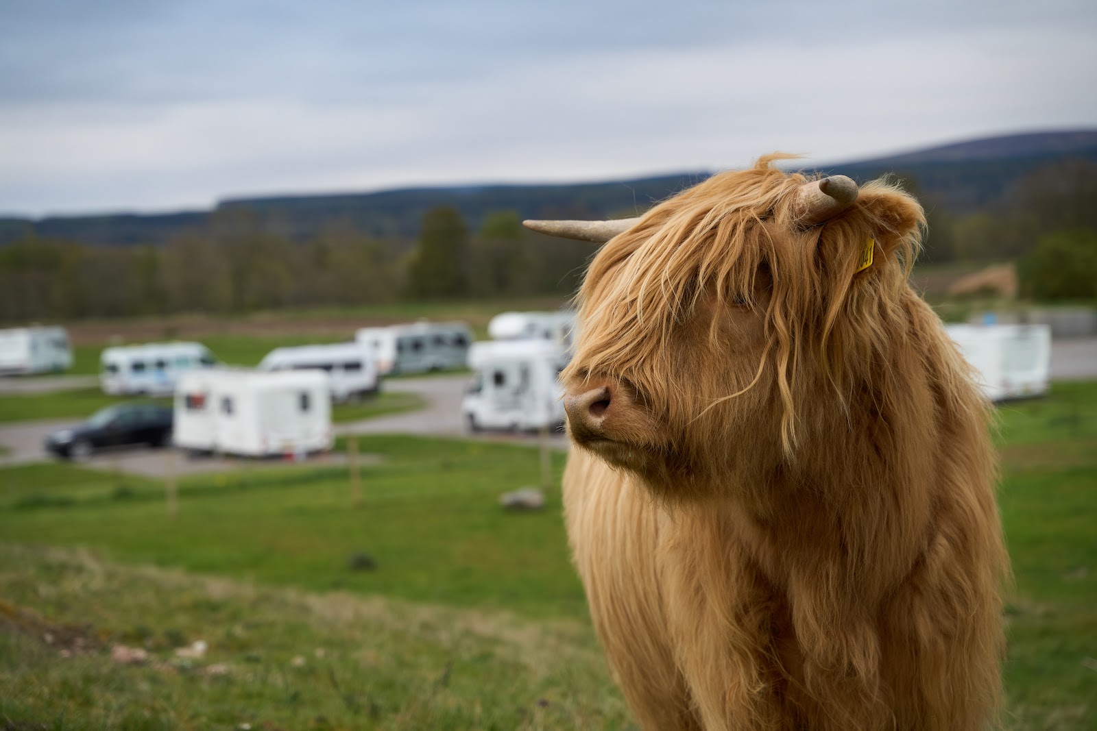 Barrow Campsite Nairn