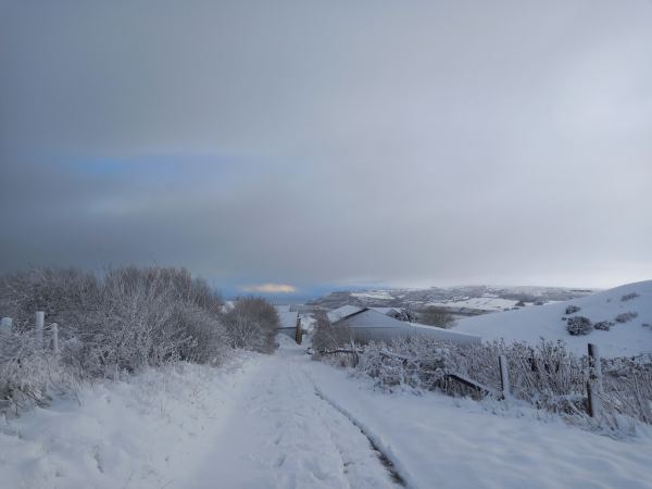 Bay Ness Farm