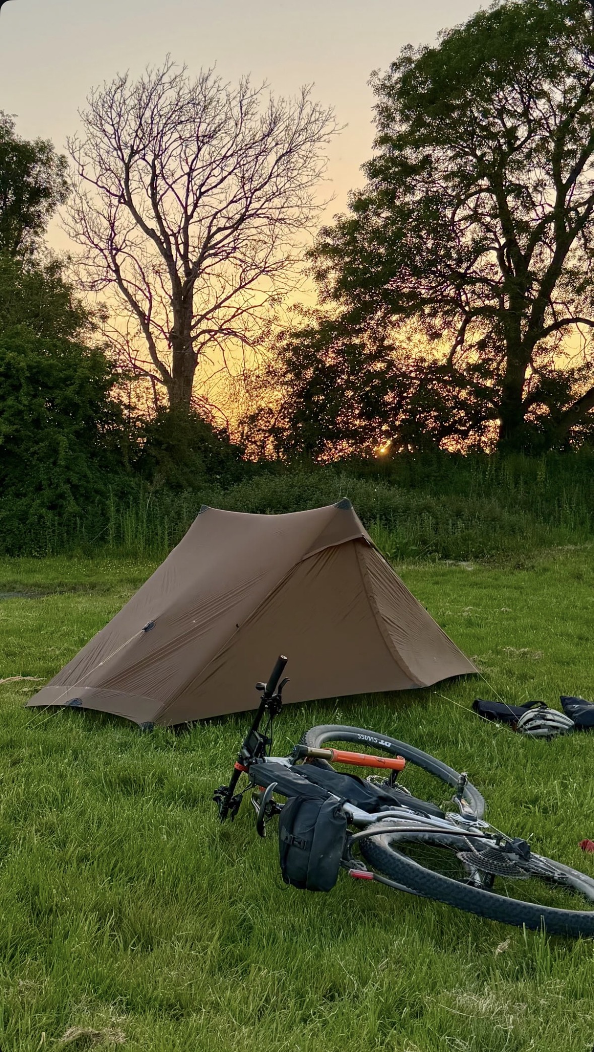 Bear and Cedar Camping