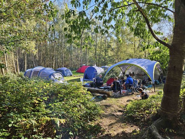 Beech Estate Campsite