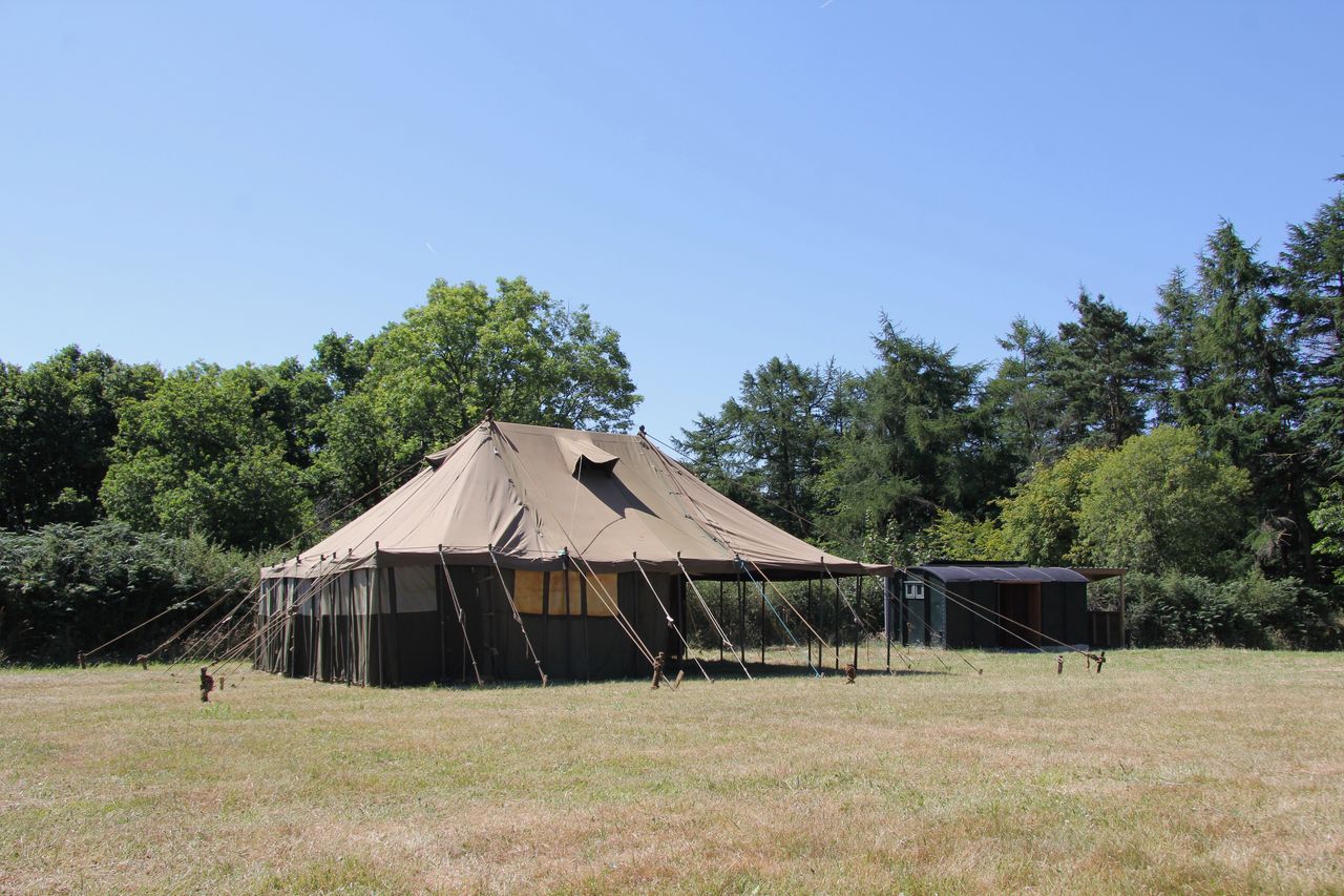 Beech Tree Farm