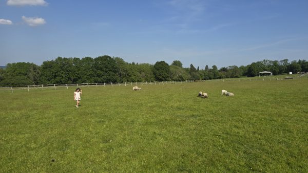 Beechenwood Farm