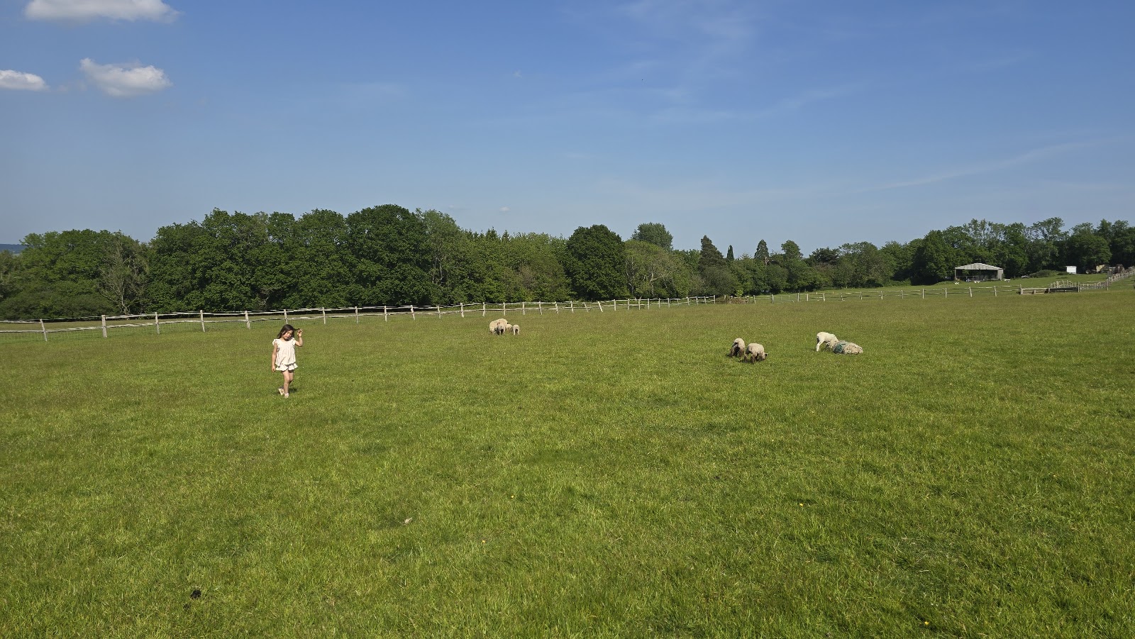 Beechenwood Farm