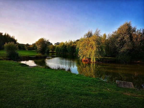 Beechwood Park