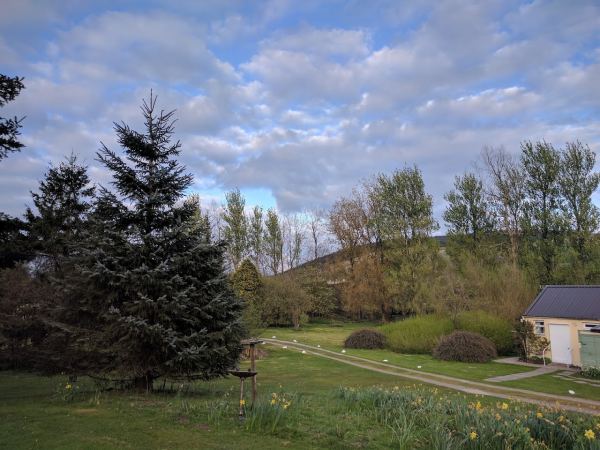 Beeswing Caravan Park