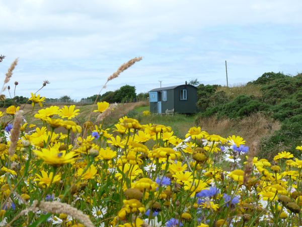 Benllech Shepherds Huts