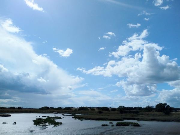 Bentley Country Park