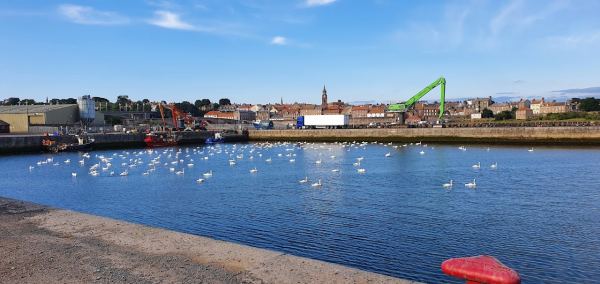 Berwick Seaview Caravan and Motorhome Club Site
