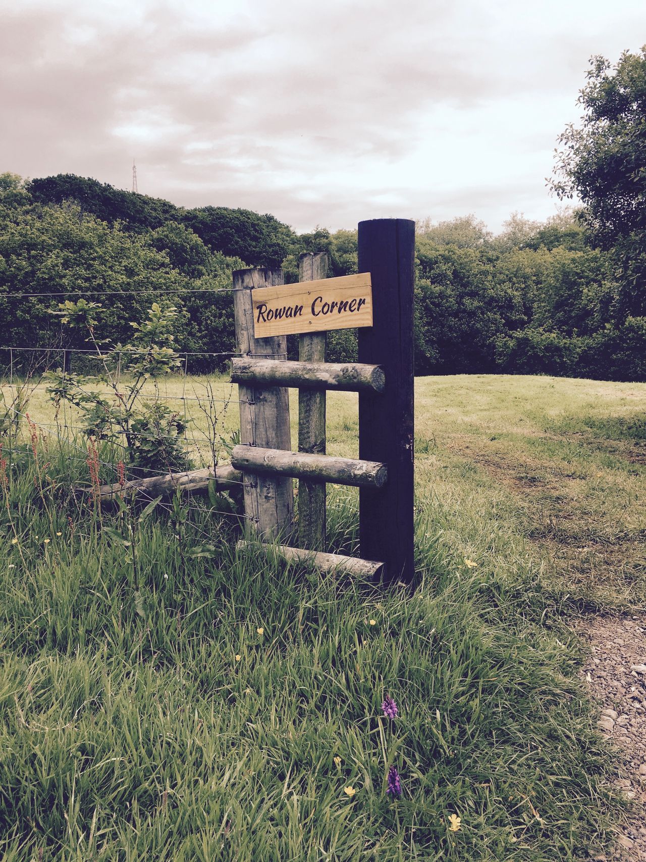 Beryls Campsite