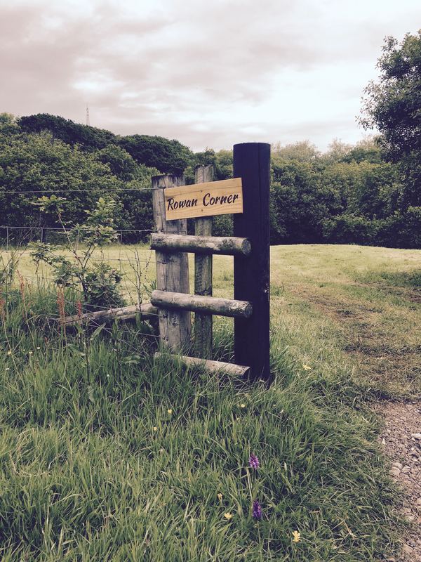 Beryls Campsite