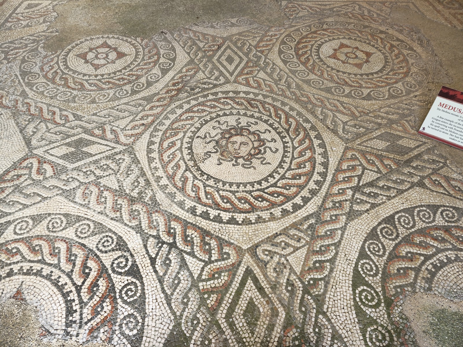 Bignor Farms Camping at Bignor Roman Villa