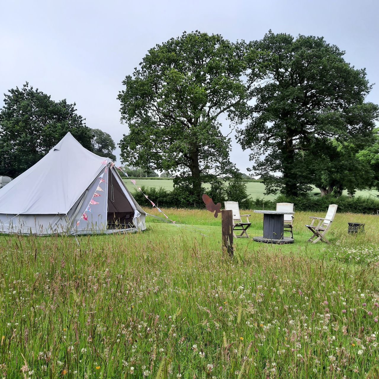 Birchwood Camping