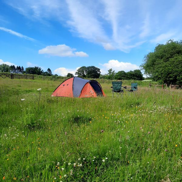 Birchwood Camping