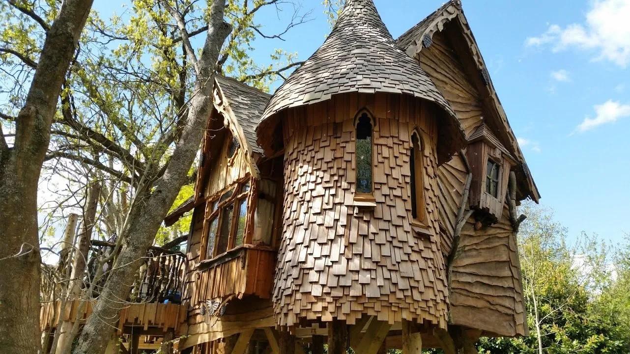 Blackberry Wood