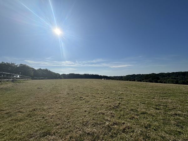 Blackbury Campsite