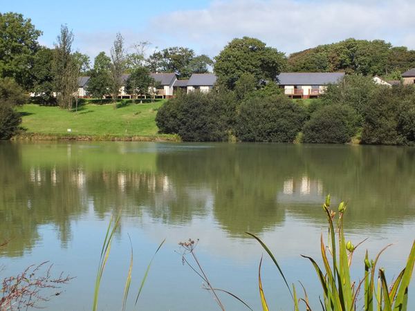 Blagdon Farm