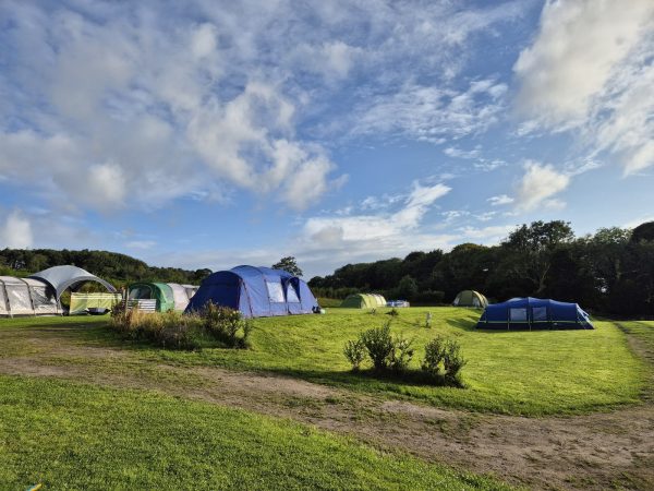 Blossom Tree Camping