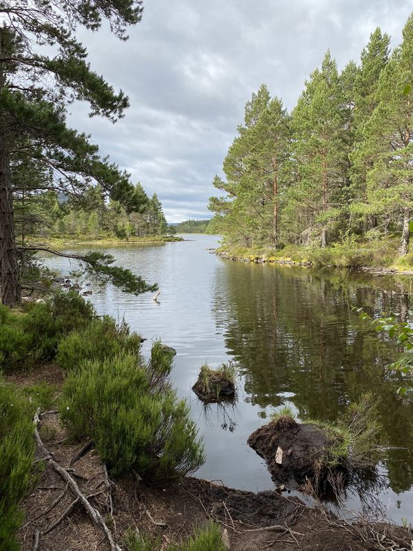 Boat Of Garten Caravan and Camping Park