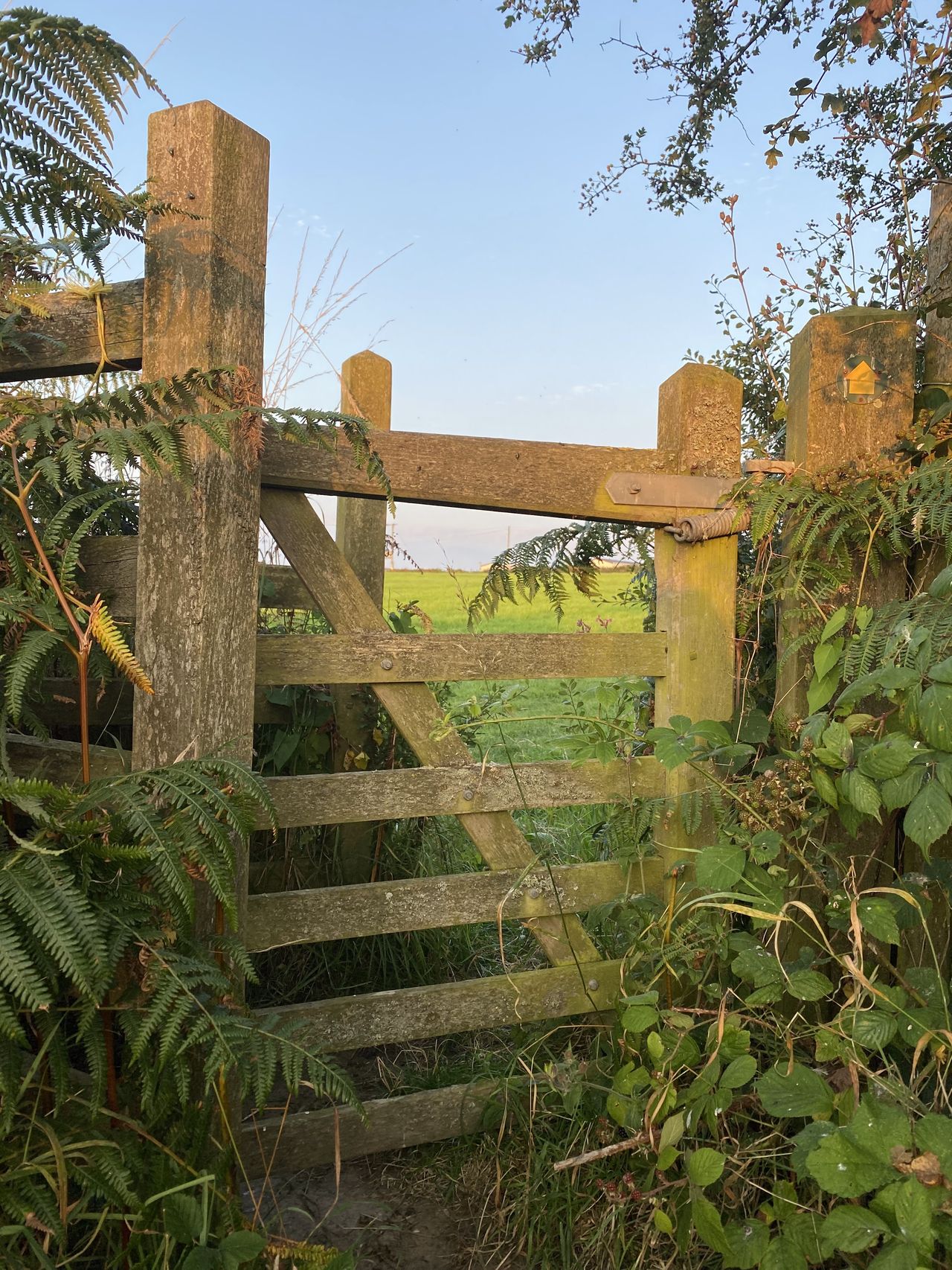 Bodfan Farm Camping Site