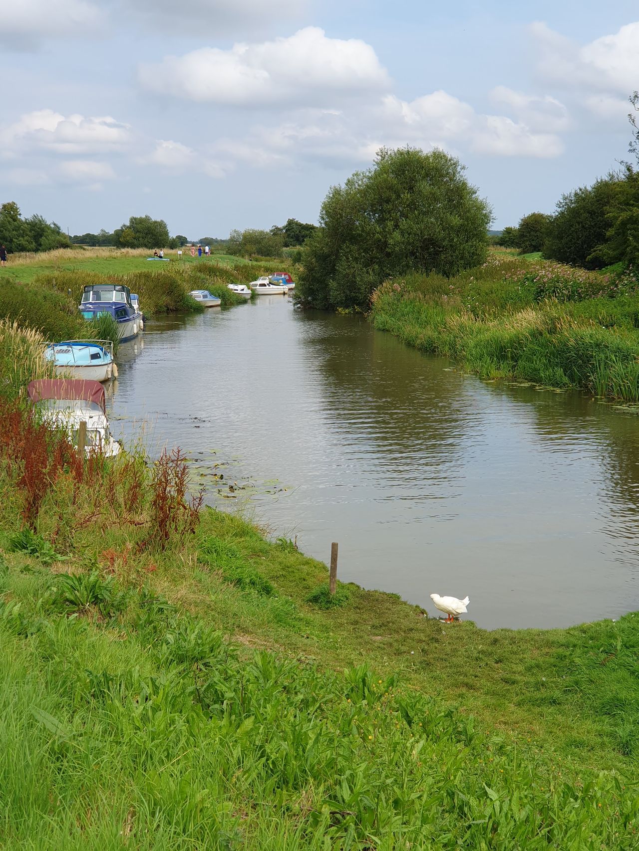 Bodiam Boating Station