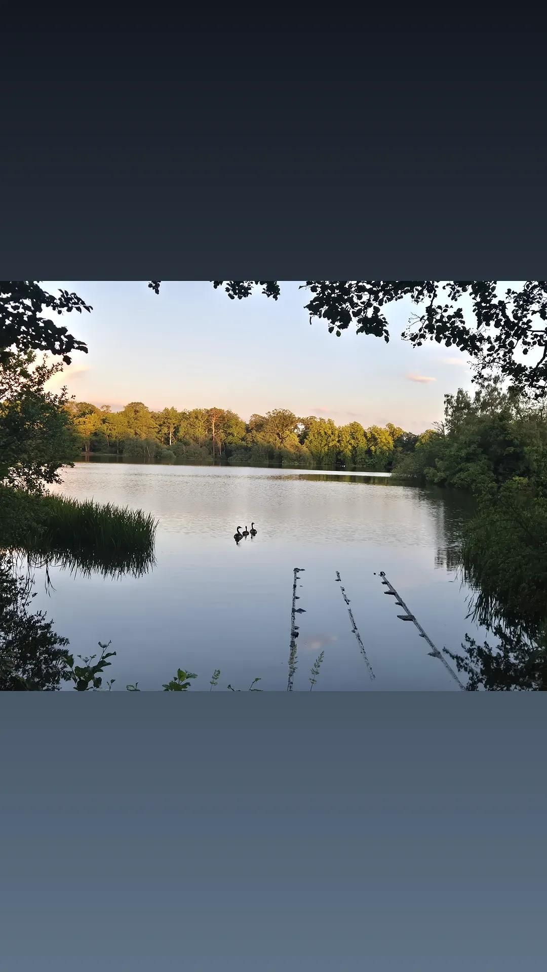 Bolam Lake Camping Paddock
