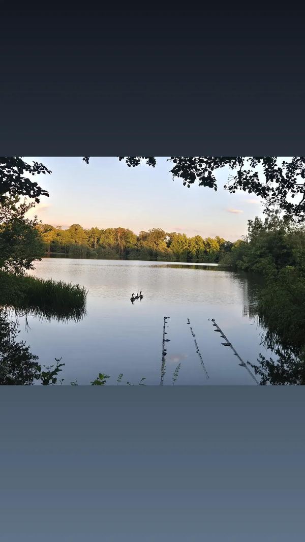 Bolam Lake Camping Paddock