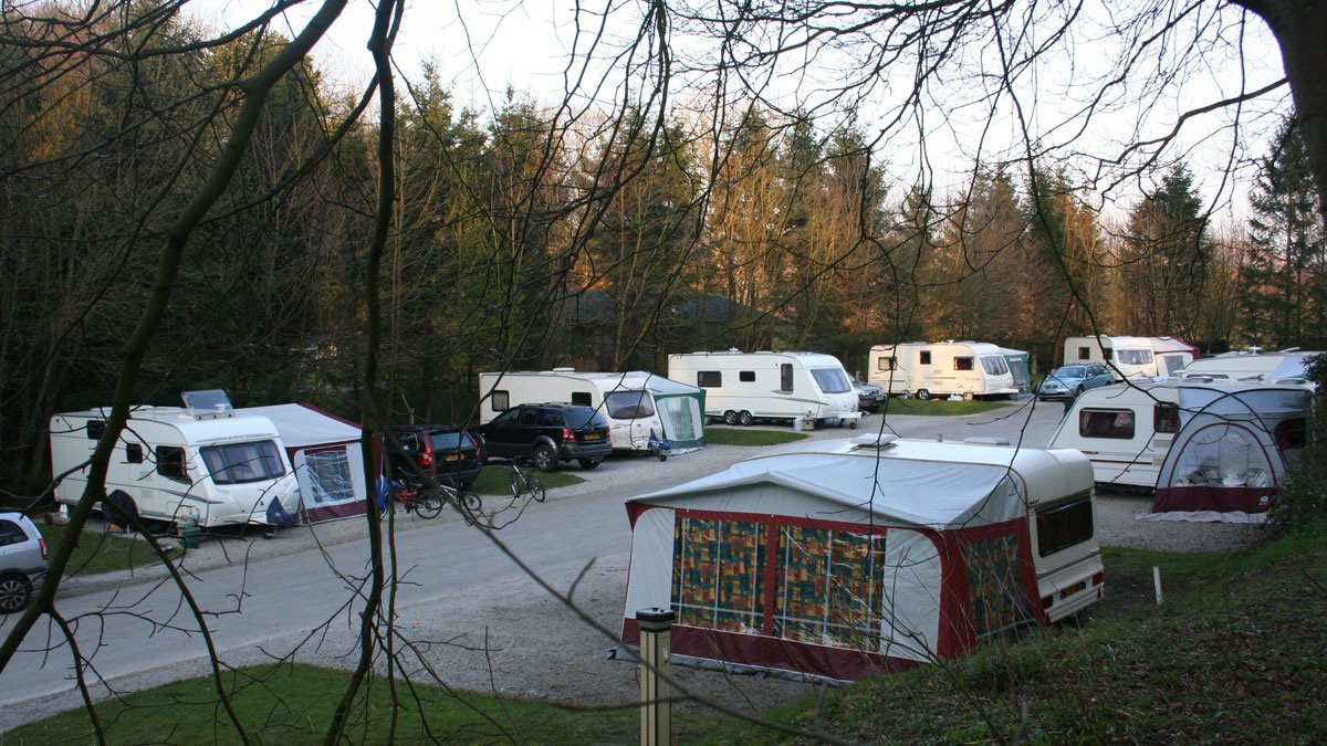 Bolton Abbey Estate Caravan and Motorhome Club Site (formerly Strid Wood)