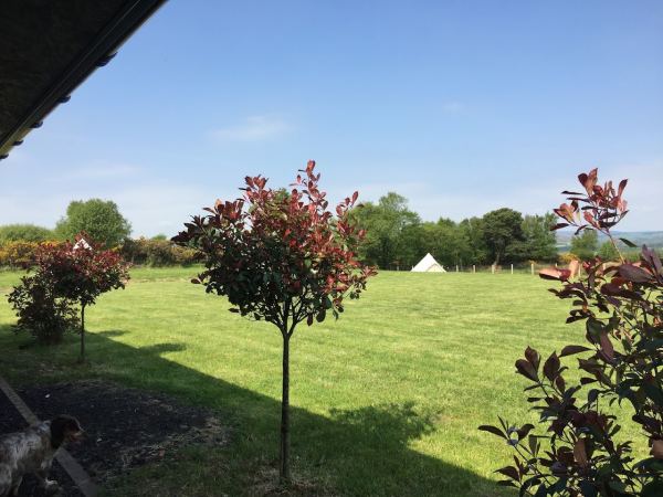 Bonnybridge Eco Camping and Glamping