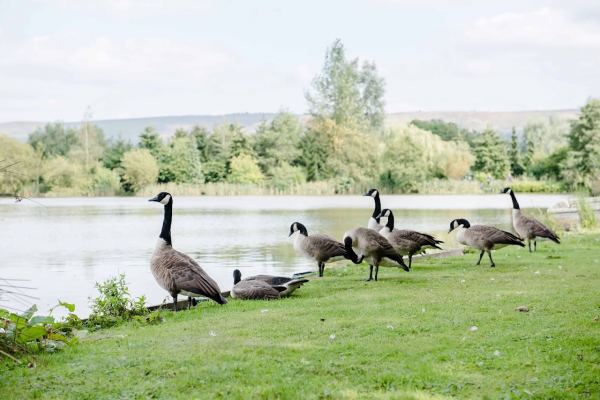 Bow House Country Park