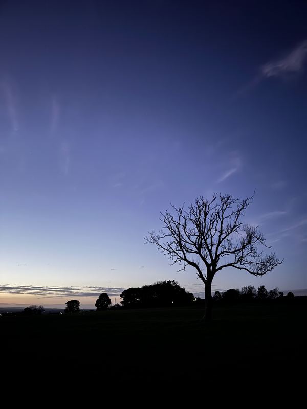 Bowler’s Hill Campsite